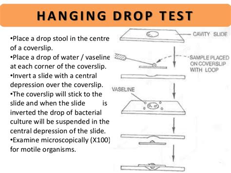 stool for hanging drop test|hanging drop preparation test.